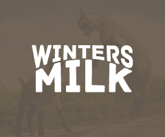 Winters Milk